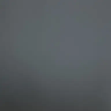 Profile image of 소이의 아빠