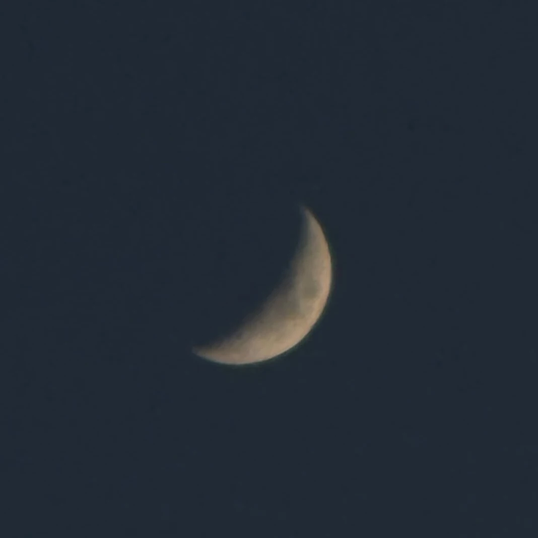 권지용