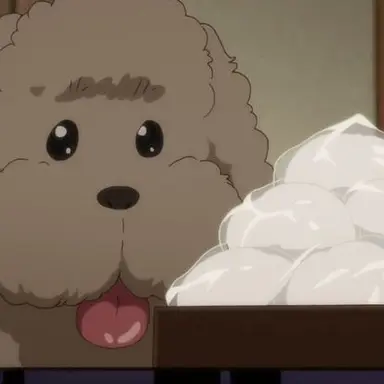 Profile image of 막카친