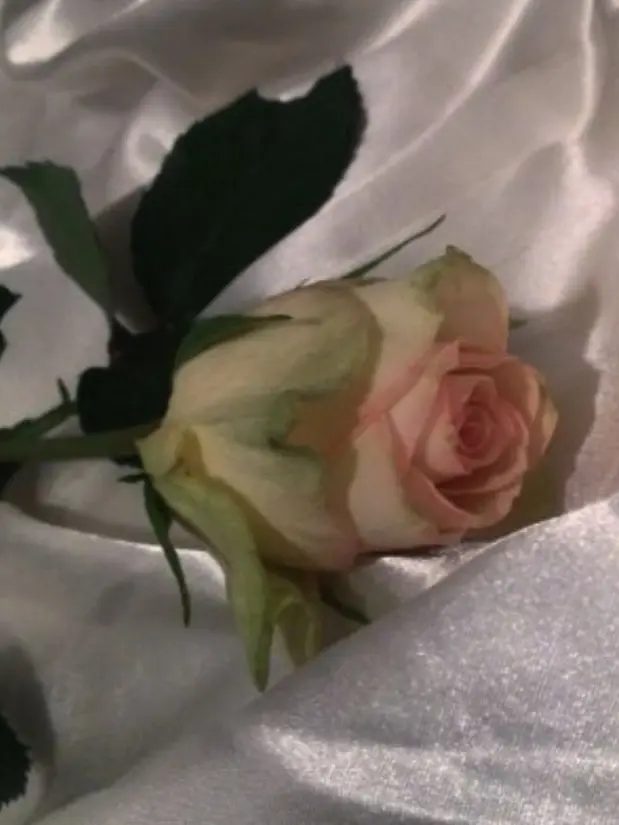 sjlove0616의 "우리 무리는, 절대 깨지지 않아."