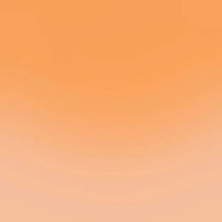 제미니