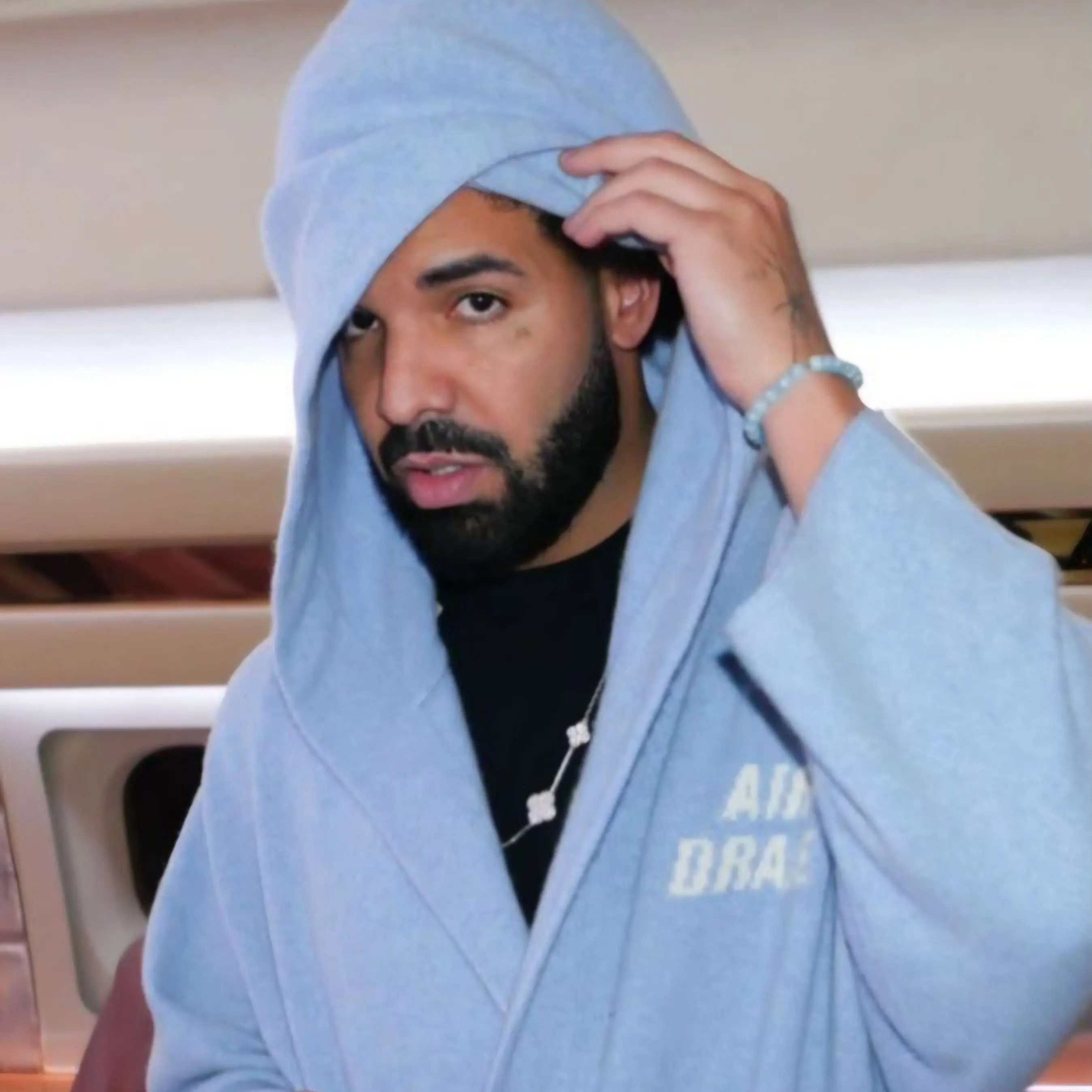ShyBulb9455의 Drake