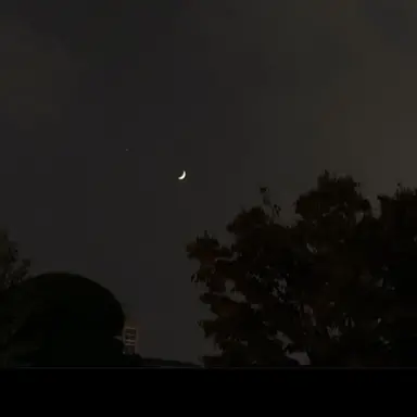 Profile image of 덕개