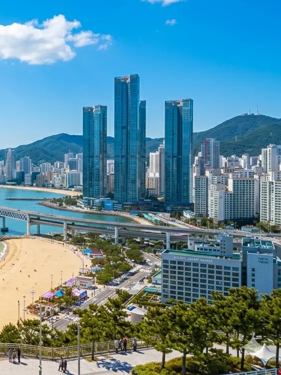 SilverLiger4991의 바이크 동호회