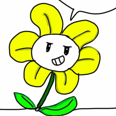 플라위