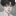 서 이 준