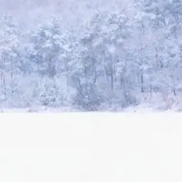 NarrowRhea5054의 명재혅