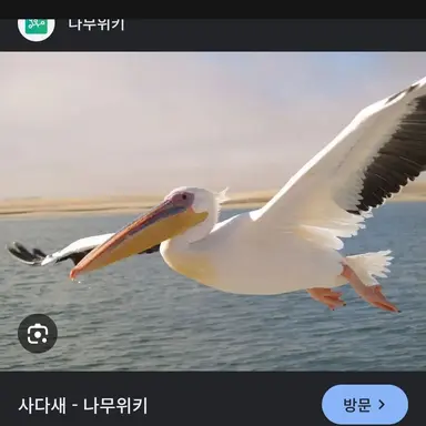 Profile image of 팰리컨