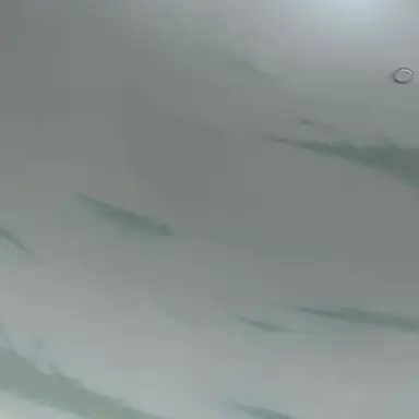 Profile image of Al Capone