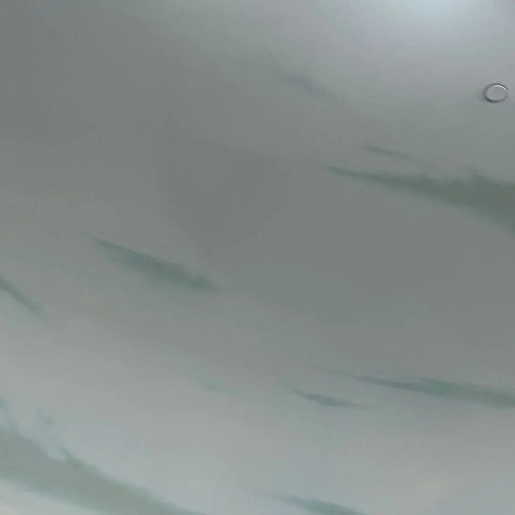 PoeticTrout5783의 The Drowned Informant