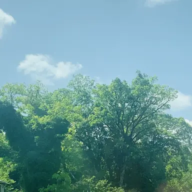 Profile image of ドイツ家族