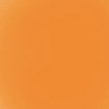 Profile image of 예니초