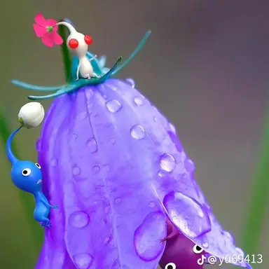 Profile image of 佐野太智