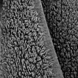 Profile image of 末澤誠也