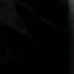 동생들