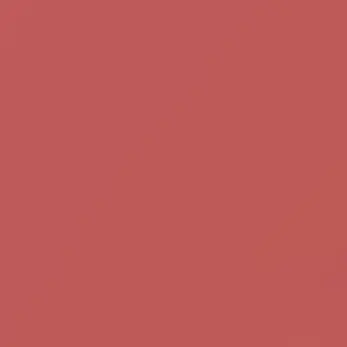 Profile image of 코요 템페스트