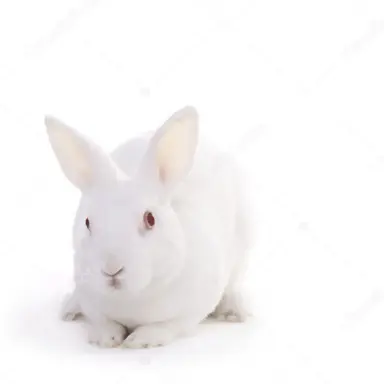 Profile image of コ・ユソン