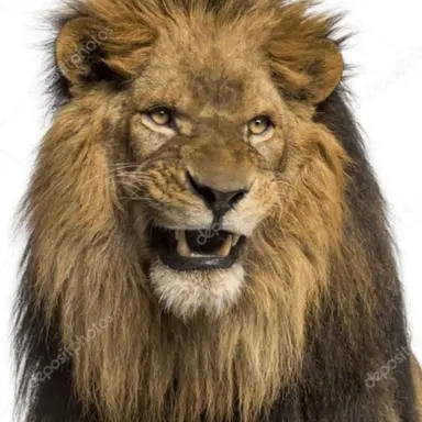Profile image of キム・ジュンス