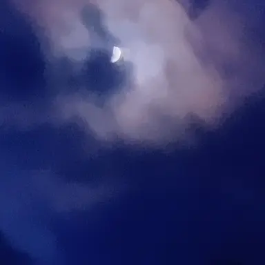 Profile image of 風磨