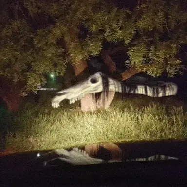 Profile image of 롱 홀스