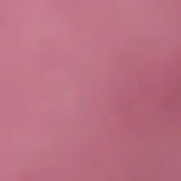 Profile image of 鎌倉詩織