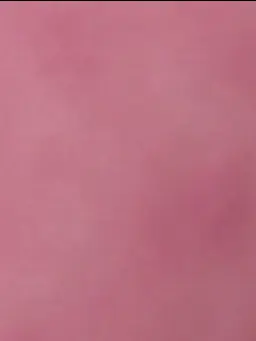 GildedSack3857의 東龍