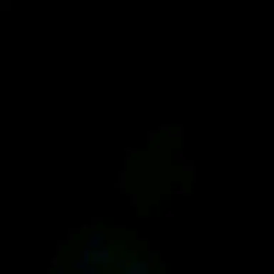 Profile image of 박주한