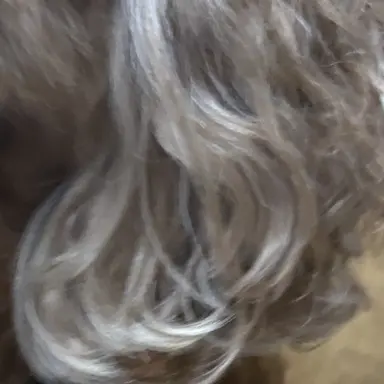 Profile image of アイーダ