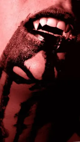 Profile image of Vincent