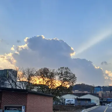 Profile image of 백지헌