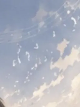 TamestNewt5788의 オヤジはもっとうまく盗む。