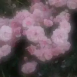Profile image of MHAのみんな