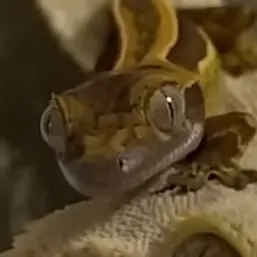 Profile image of 주인장