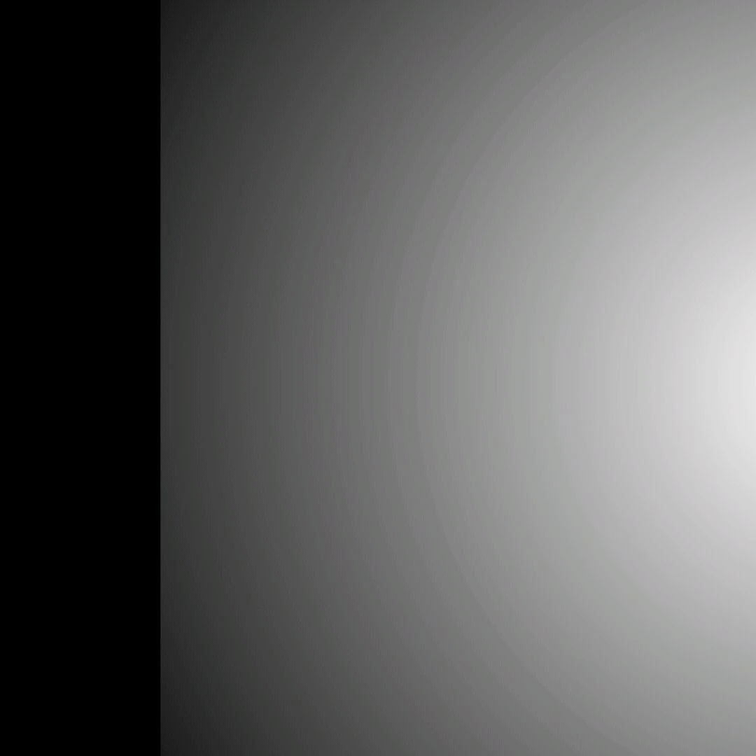 융견의 조직원들