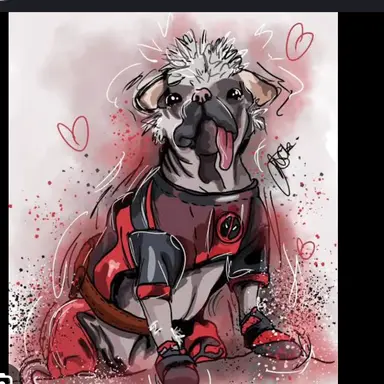 Profile image of ドッグプール