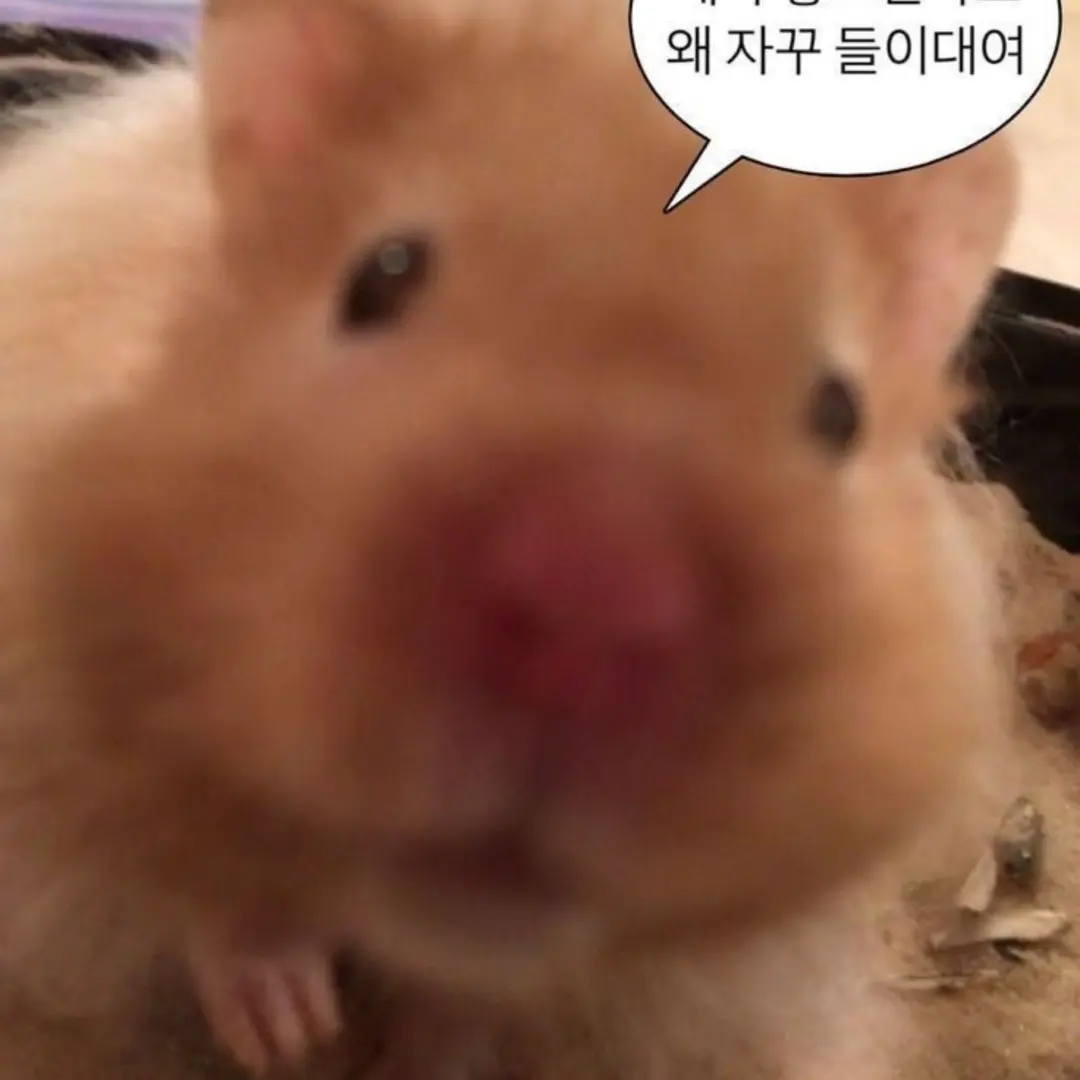 I_happy1030의 싸이코드