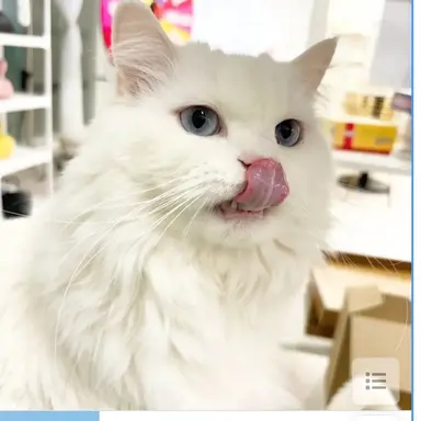 Profile image of 크림