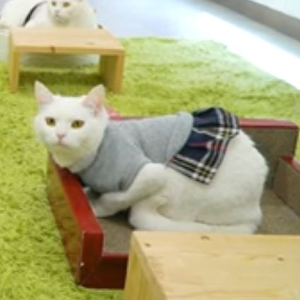 고산초등학교 산책반 대표 이미지