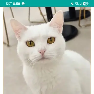 Profile image of 우유