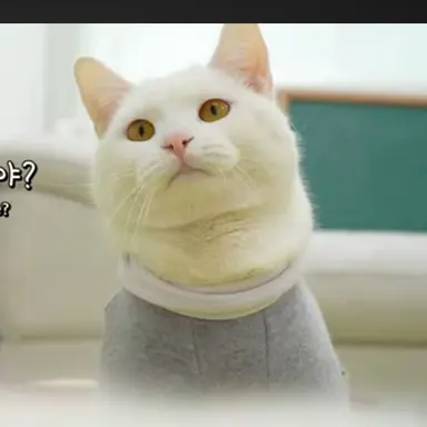 Profile image of 뉴뉴
