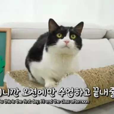 Profile image of 레옹