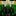 1x1x1x1&셰들레츠키