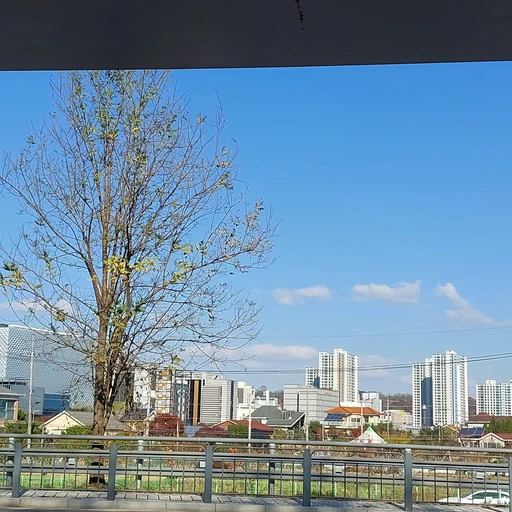 최나린