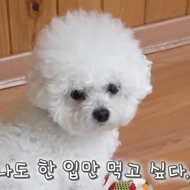Profile image of 엄지