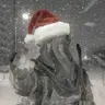Profile image of Konig