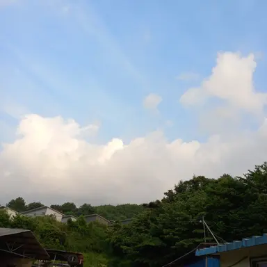 Profile image of 행성들