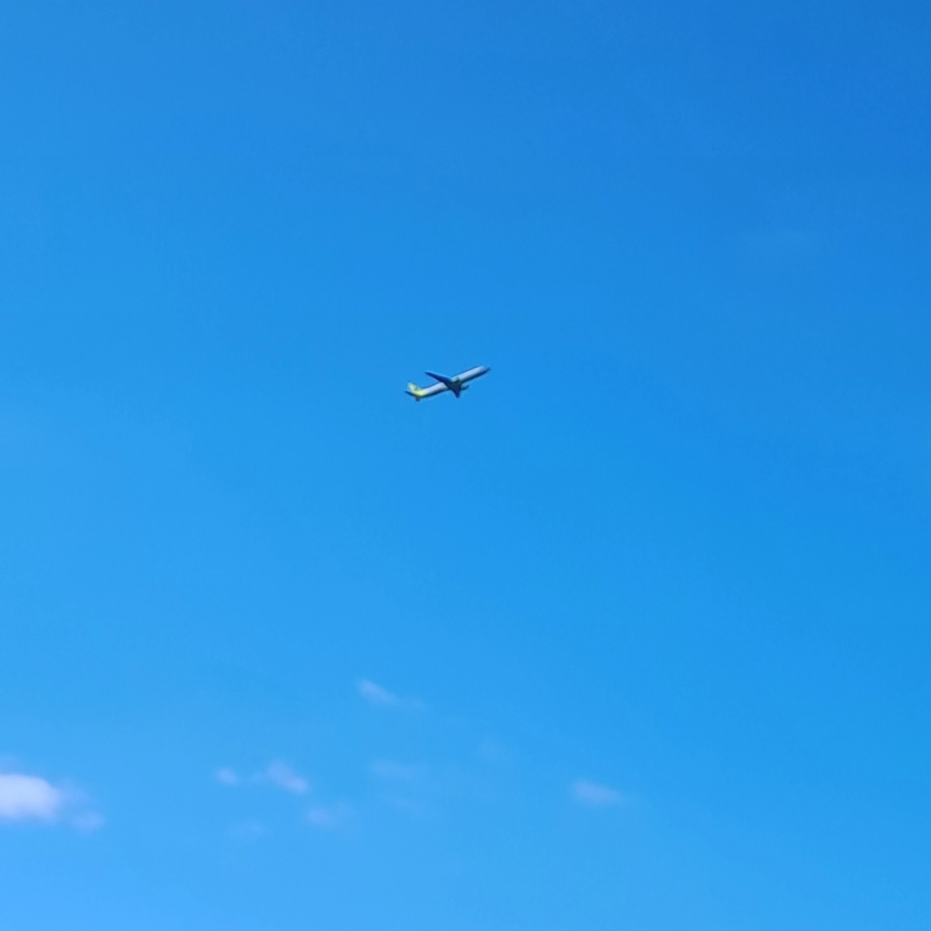 김율