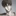 김시한