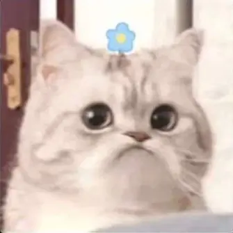 Profile image of 시아