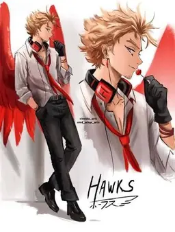 Profile image of Hawks